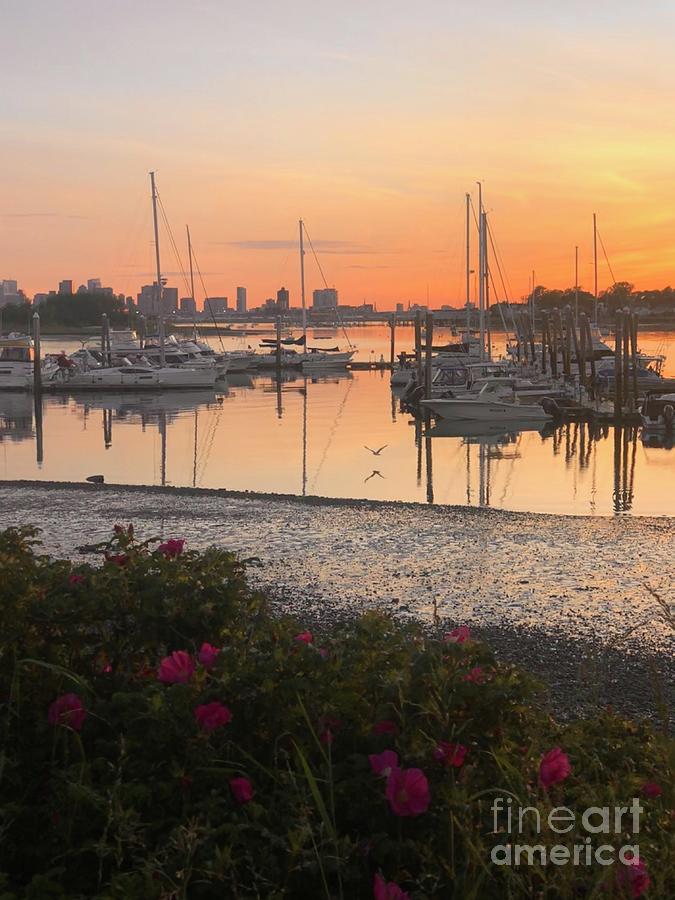 The Stillness of a sunset in Winthrop Harbor Photograph by Jacqueline ...