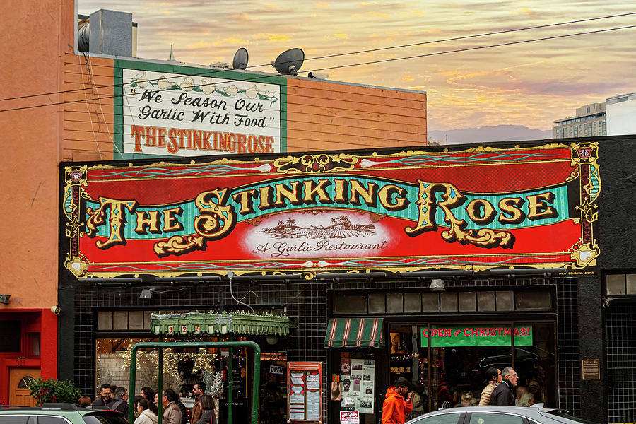 The Stinking Rose Photograph