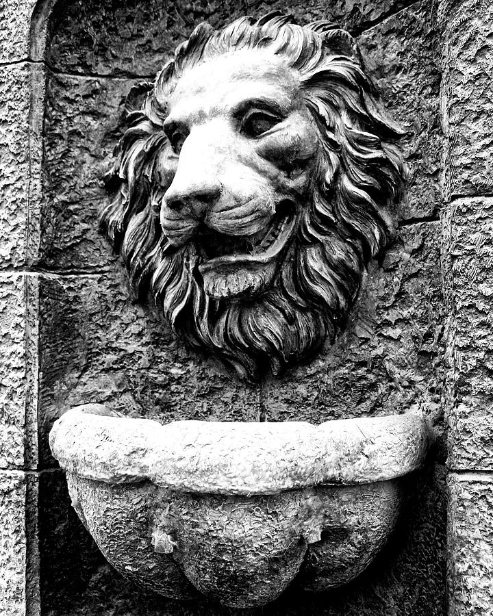 THE STONE LION Charleston SC Photograph by William Dey