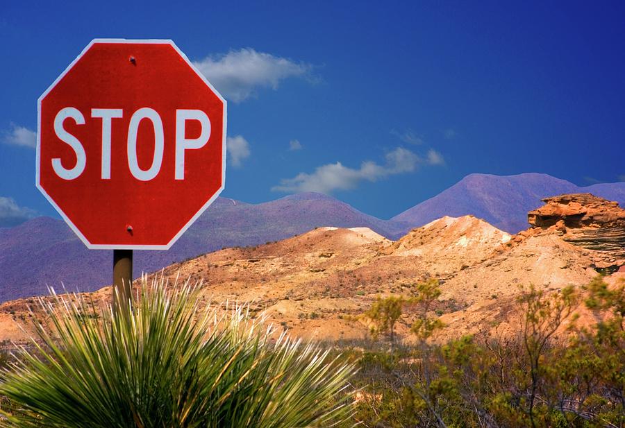 The Stop Sign Photograph by Bob Pardue