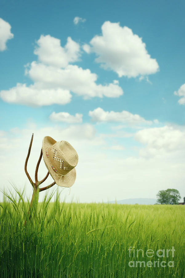 Summer Photograph - The Straw Hat by Amanda Elwell