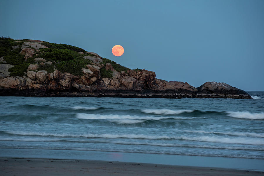 The Strawberry Moon rising over Good Harbor Beach Gloucester MA Island Photograph by Toby McGuire