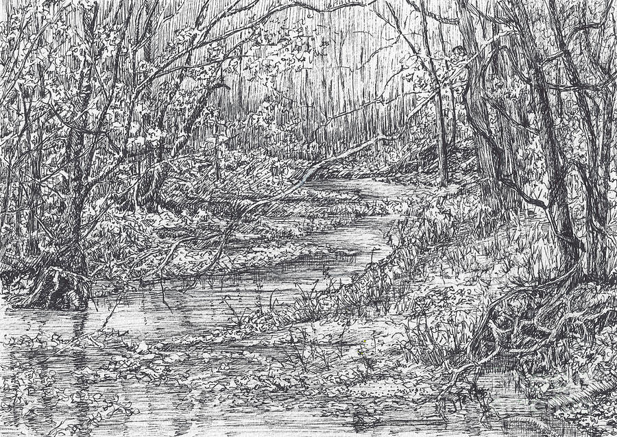 Landscape Drawing - The Stream Through the Woods by Janet Felts