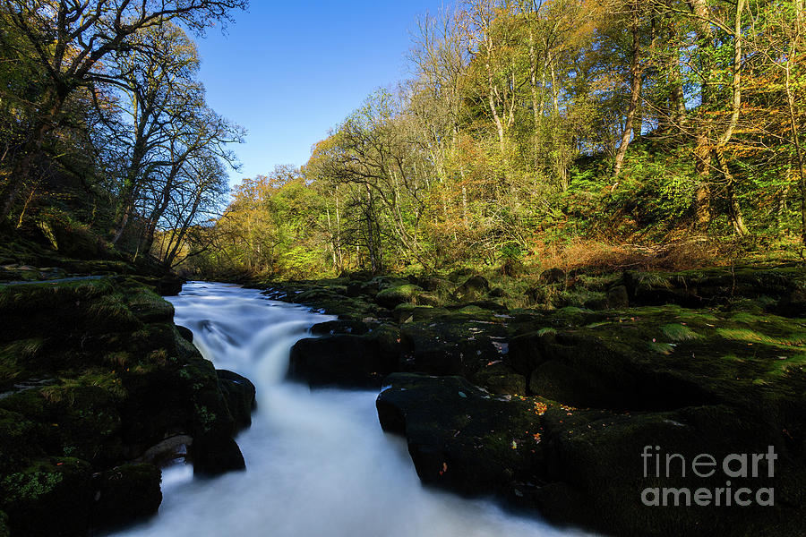 The Strid, Wharfedale Photograph by Tom Holmes Photography