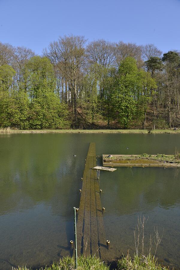 The submerged pontoon in the pond Photograph by Images authentiques par le photographe gettysteph