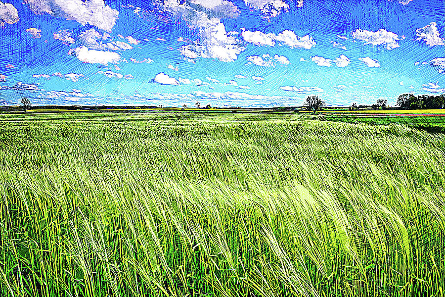 The Summer Prairie Painting by Art Market America - Fine Art America