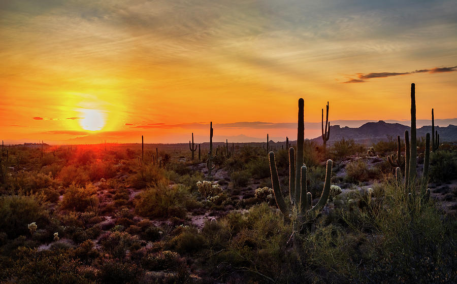 The Sun Setting On The Desert  Photograph by Saija Lehtonen