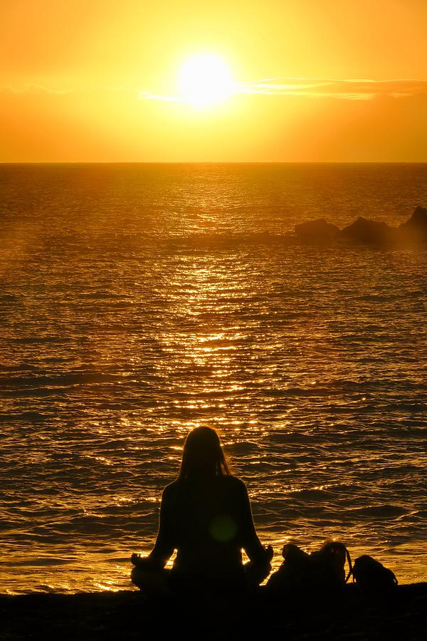 The Sun Worshipper Photograph By Spacewalk Fine Art America