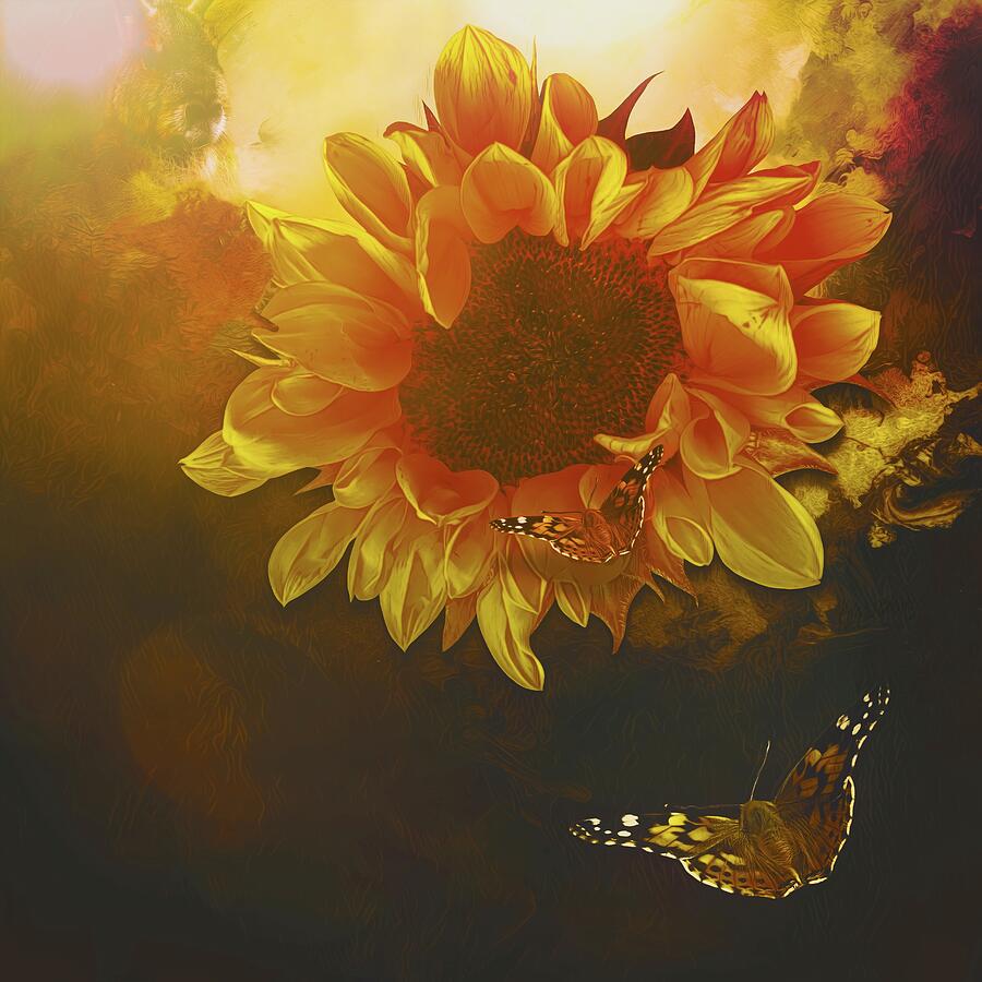 Sunflower Digital Art - The sunflower just over the edge by Helga Blanke