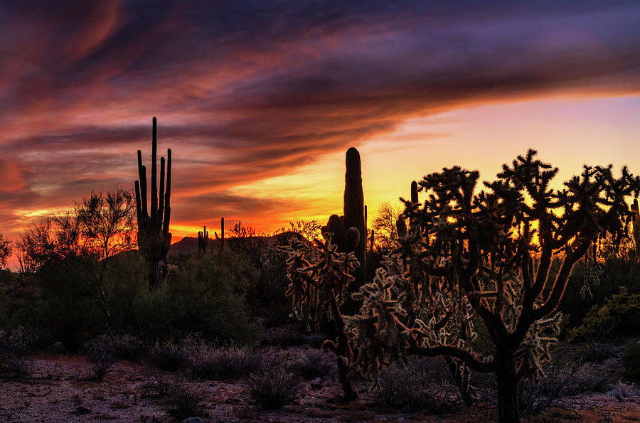 The Sunset Afterglow Photograph by Saija Lehtonen - Fine Art America