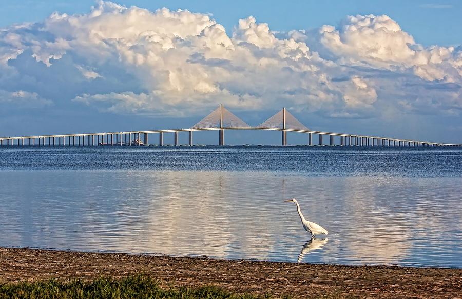 The Sunshine Skyway Bridge Photograph by HH Photography of Florida