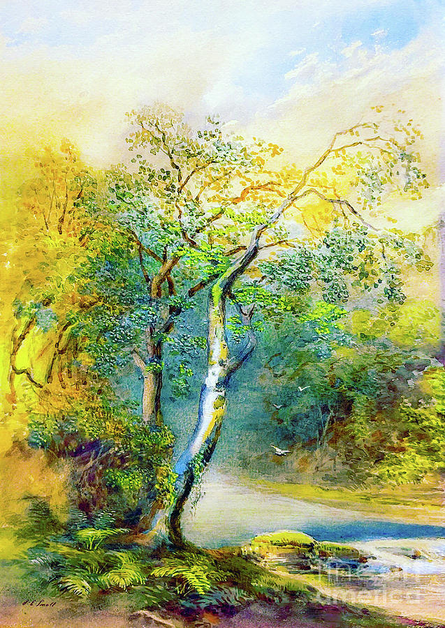 The Sunshine Stream Painting by Jane Small
