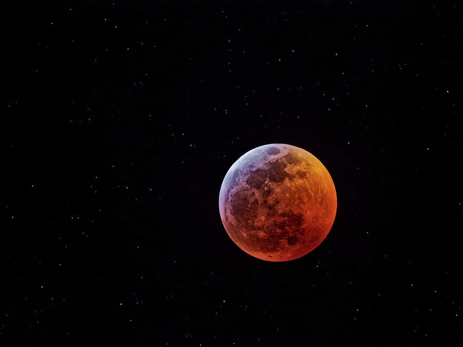 The Super Blood Wolf Moon Photograph by Ron Dubin