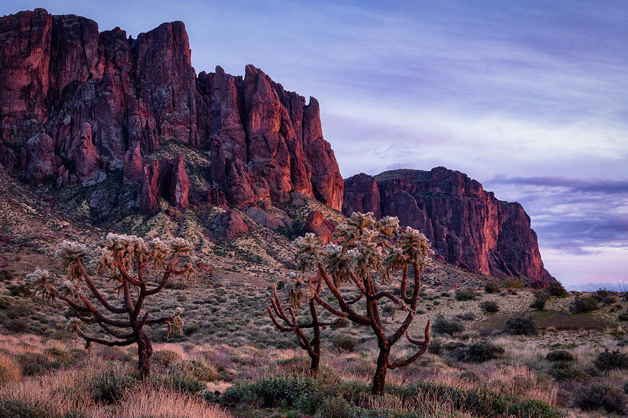 The Superstition Foothills  Photograph by Saija Lehtonen