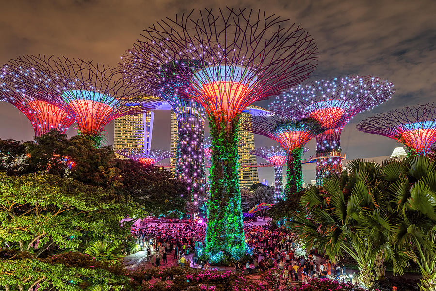 The Supertree Grove light show, Gardens by the Bay, SIngapore Photograph by Stefano Politi Markovina