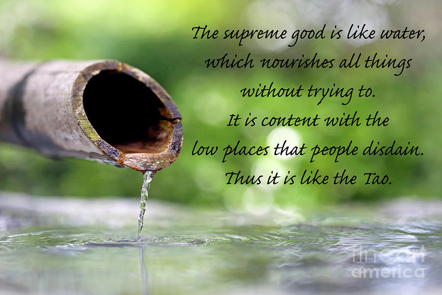 The Supreme Good is Like Water Photograph by Tina Uihlein
