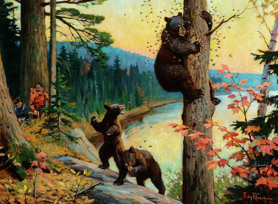 Mama and baby Bears playing on Rocks  by Phillip Goodwin vintage art 