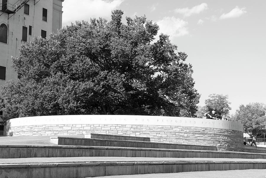 The Survivor Tree At Oklahoma City National Memorial OKC In Black And White Photograph by Bob Pardue