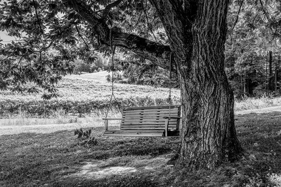 The Swing at Cartecay Black and White Photograph by Debra and Dave Vanderlaan