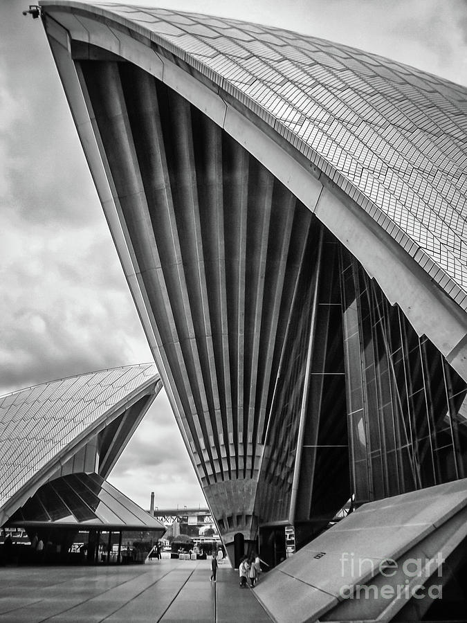 The Sydney Opera House In Black And White Photograph By Lyl Dil ...