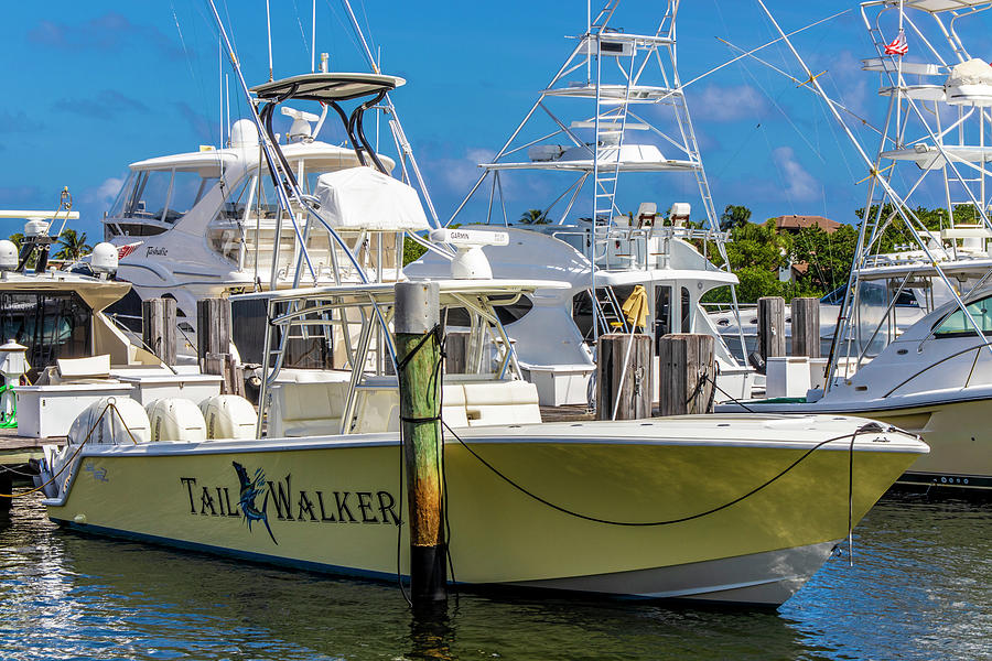 The Tail Walker Fishing Boat Photograph by Blair Damson