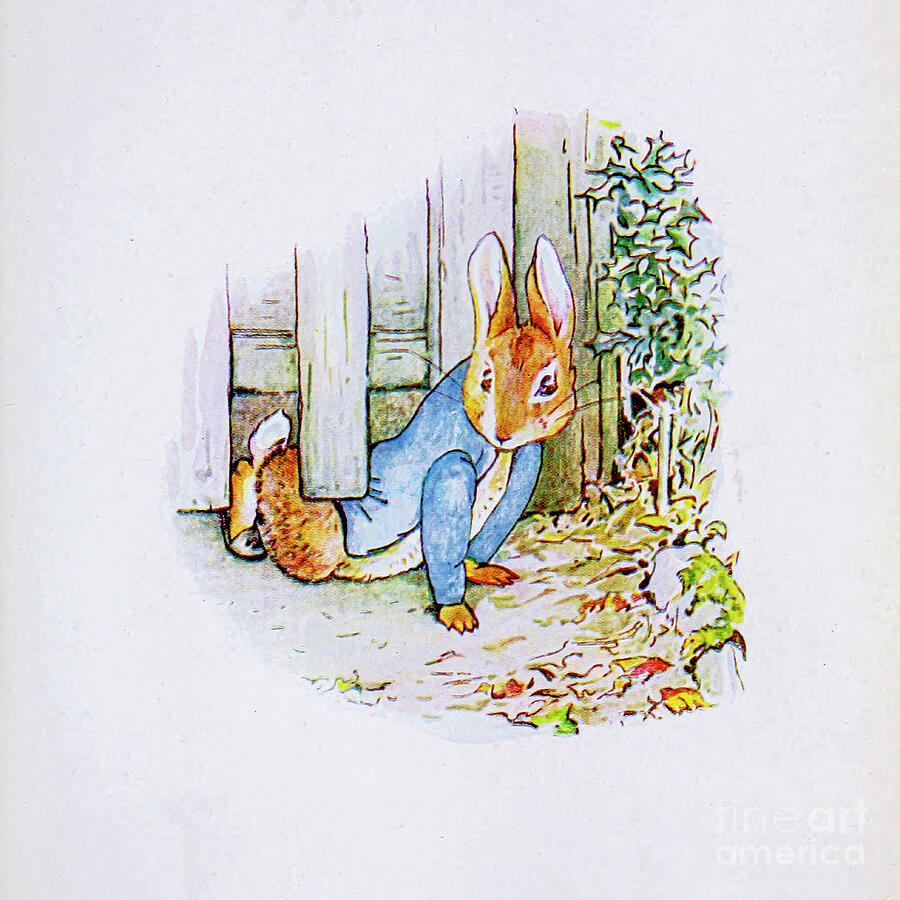 The Tale of Peter Rabbit ab15 Painting by Historic Illustrations