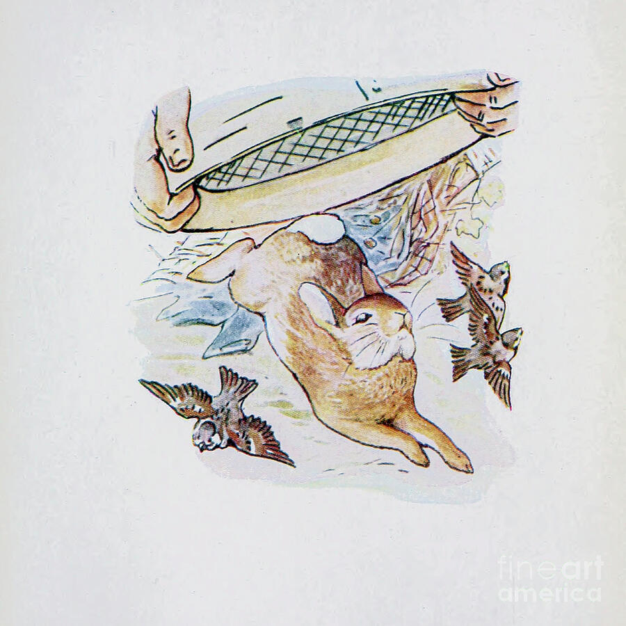 Peter Rabbit Painting - The Tale of Peter Rabbit ab16 by Historic Illustrations
