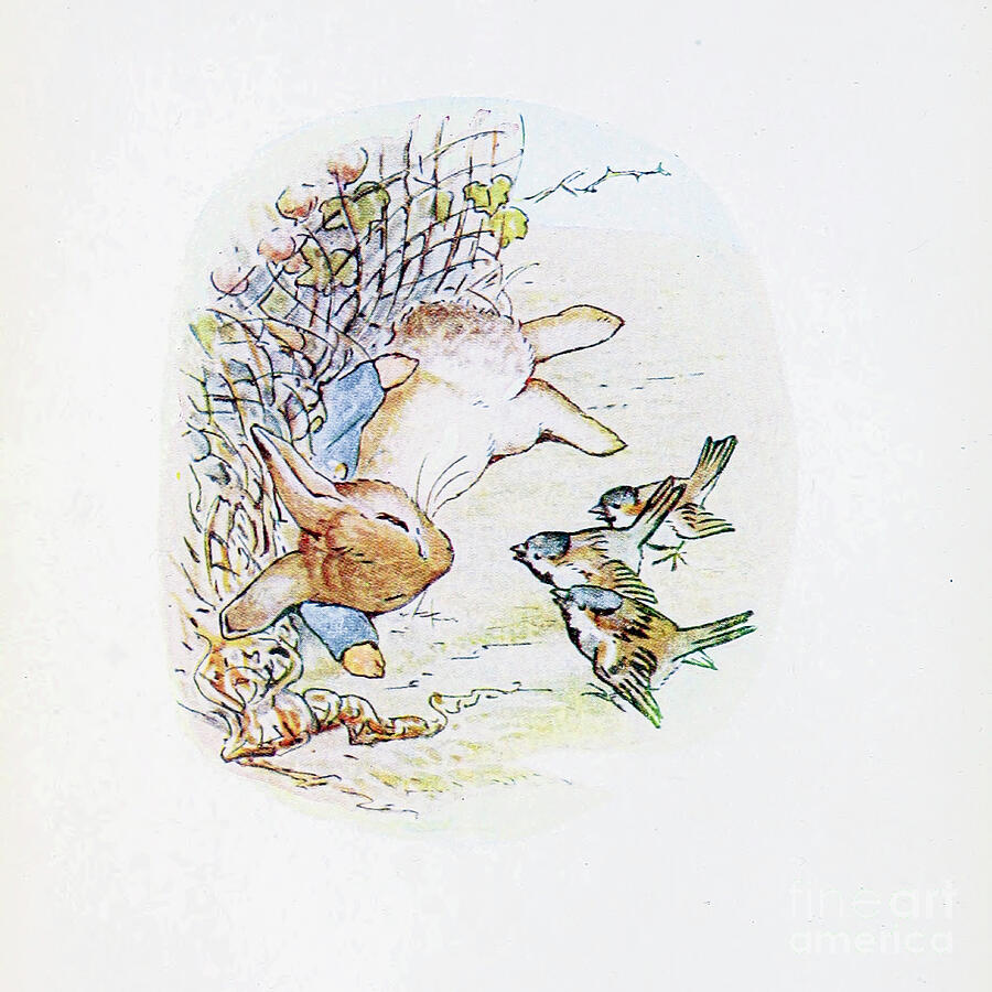 Peter Rabbit Painting - The Tale of Peter Rabbit ab21 by Historic Illustrations