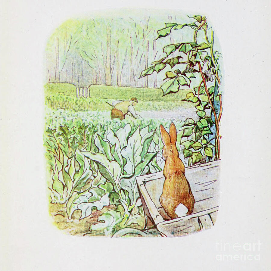 Peter Rabbit Painting - The Tale of Peter Rabbit ab31 by Historic Illustrations