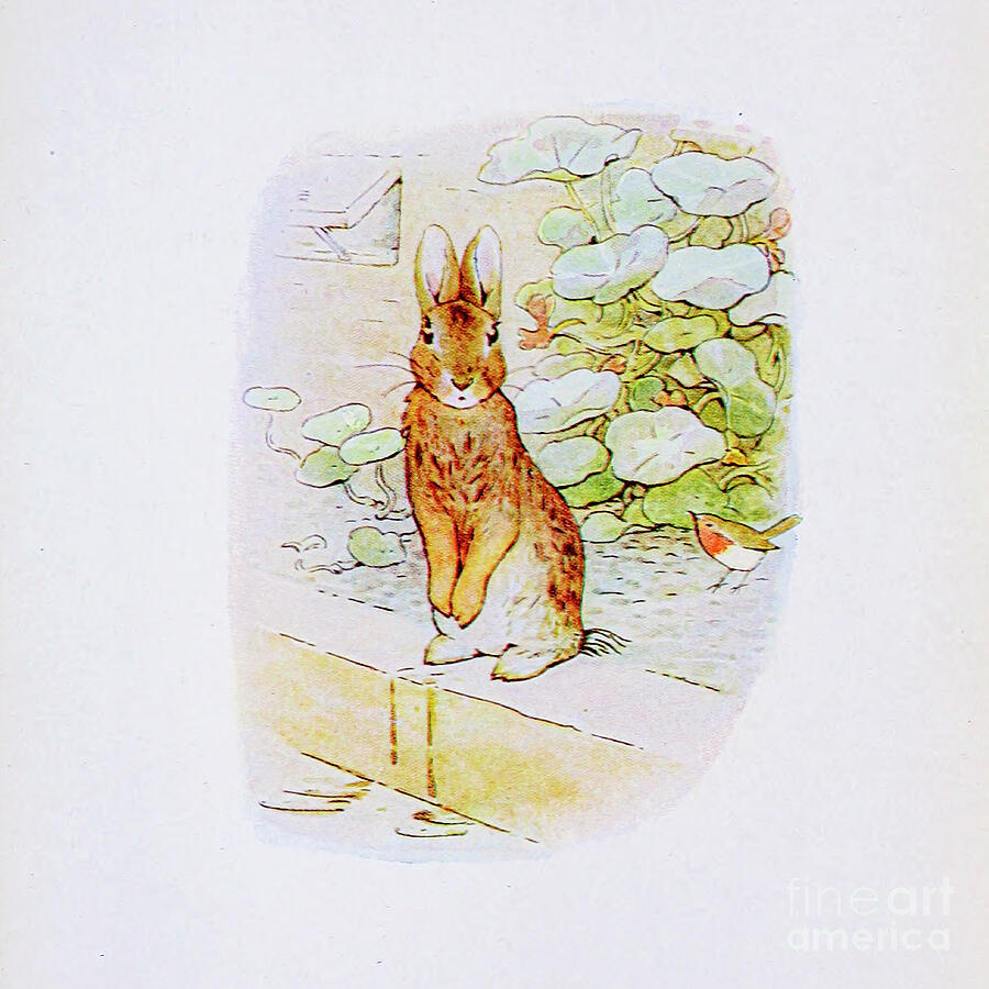 Peter Rabbit Painting - The Tale of Peter Rabbit ab34 by Historic Illustrations