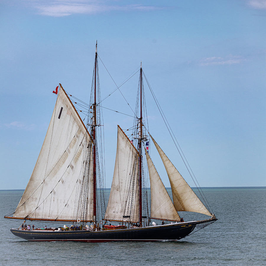 The Tall Ship Schooner Bluenose II Photograph by Dale Kincaid