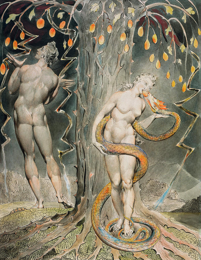 The Temptation and Fall of Eve by William Blake 1808 Painting by William blake