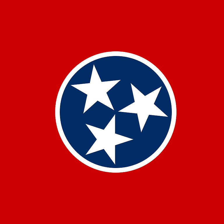 The Tennessee Flag Digital Art
