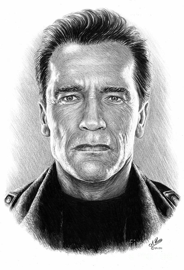The Terminator Drawing - The Terminator  Arnold Schwarzenegger 1 by Andrew Read