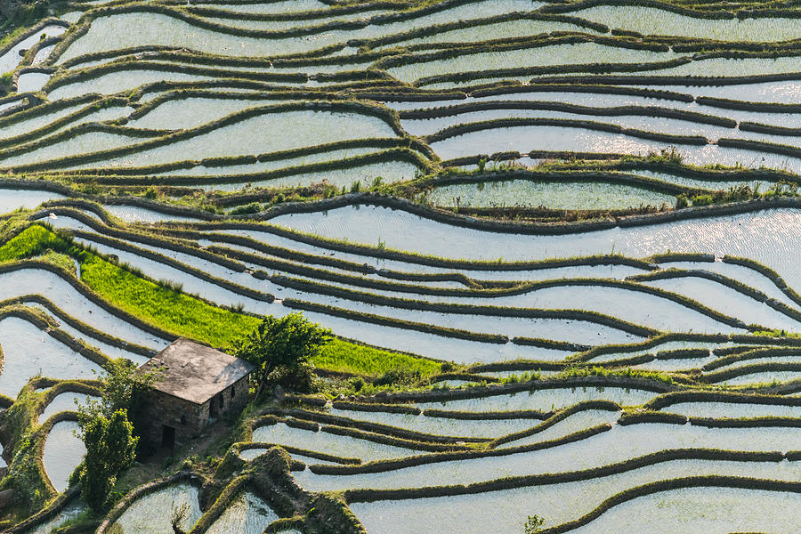 The terraced fields at spring time Photograph by Zhouyousifang
