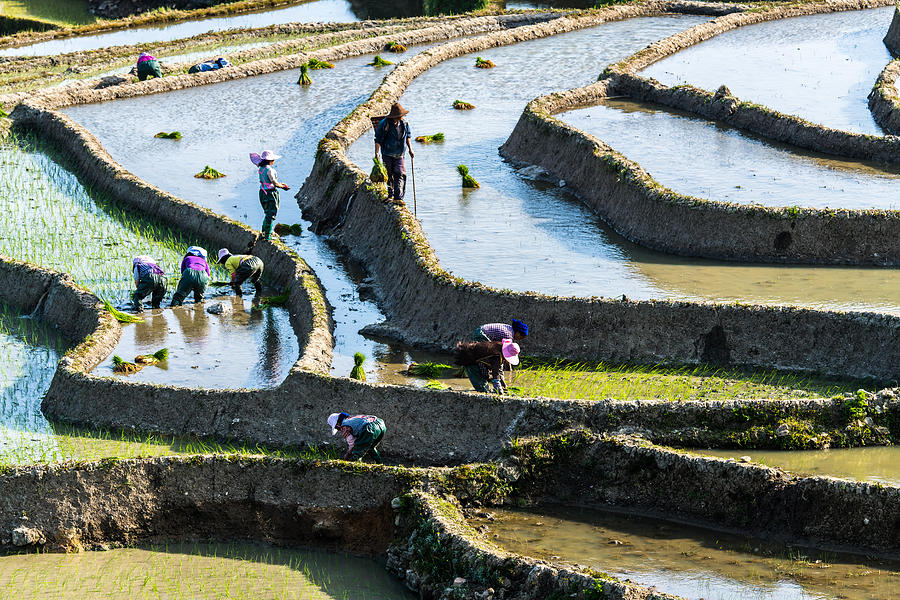 The terraced fields of spring and the people working in the terraced fields Photograph by Zhouyousifang