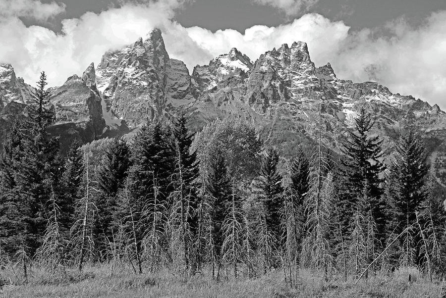 The Tetons In Black And White Photograph