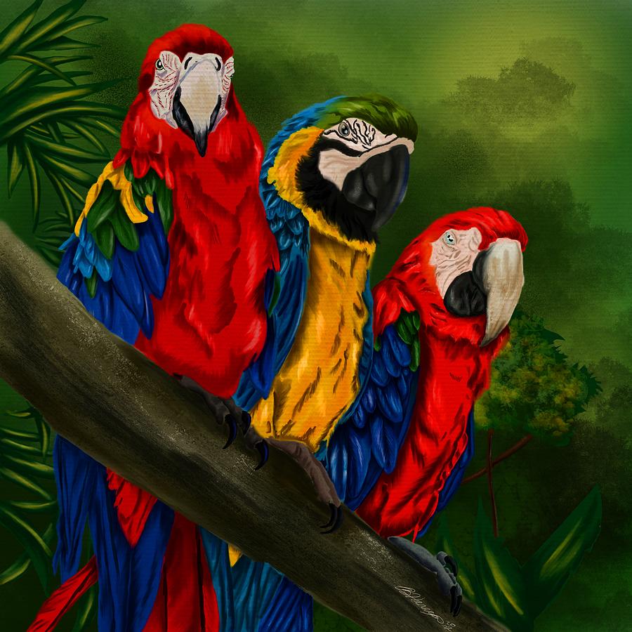 The Three Amigos Macaw Painting Painting by Becky Herrera