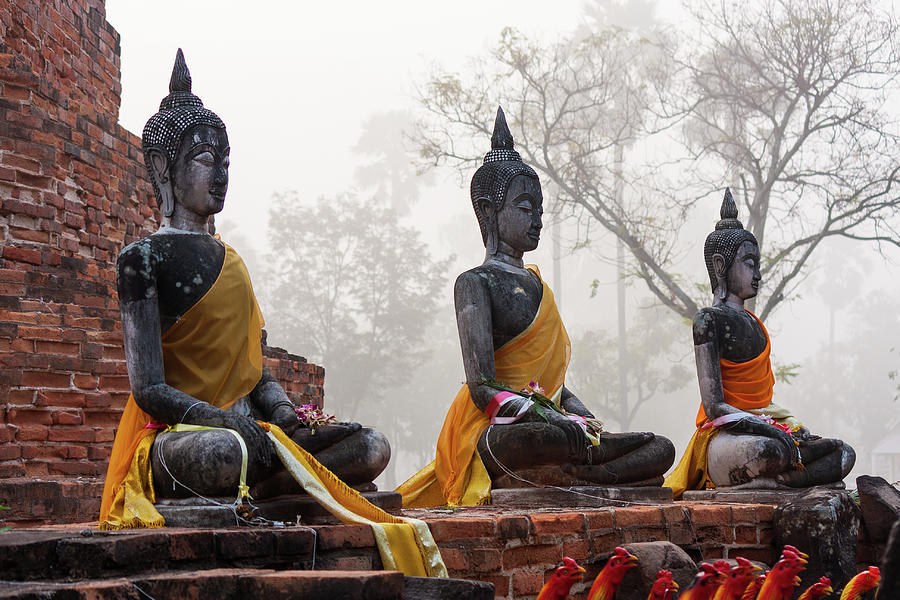 The three Buddhas of Suphanburi Photograph by Visions Of Asia Visions of Asia