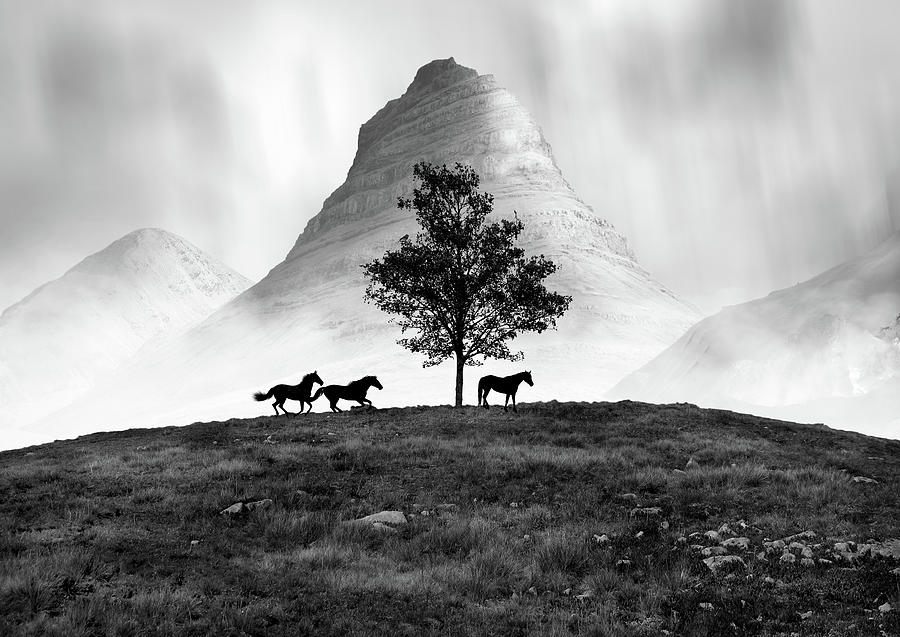 The Three Horses Digital Art by Nina Bradica