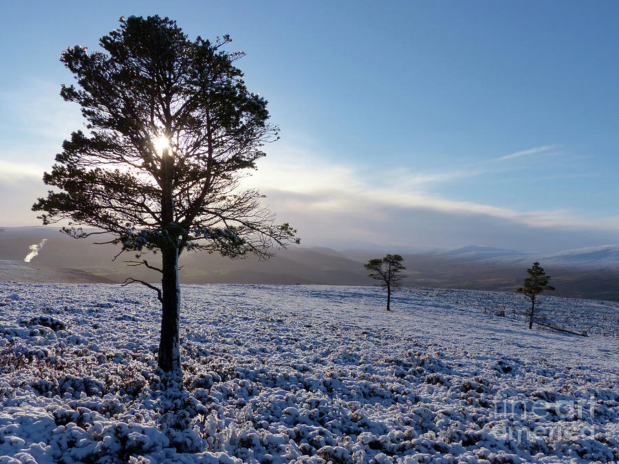 The Three Pines Moor - Glenlivet Photograph by Phil Banks
