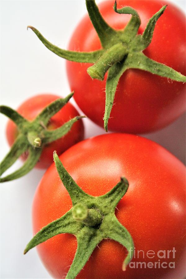 The Three Tomatoes Photograph By Stephen Thomas Pixels   The Three Tomatoes Stephen Thomas 