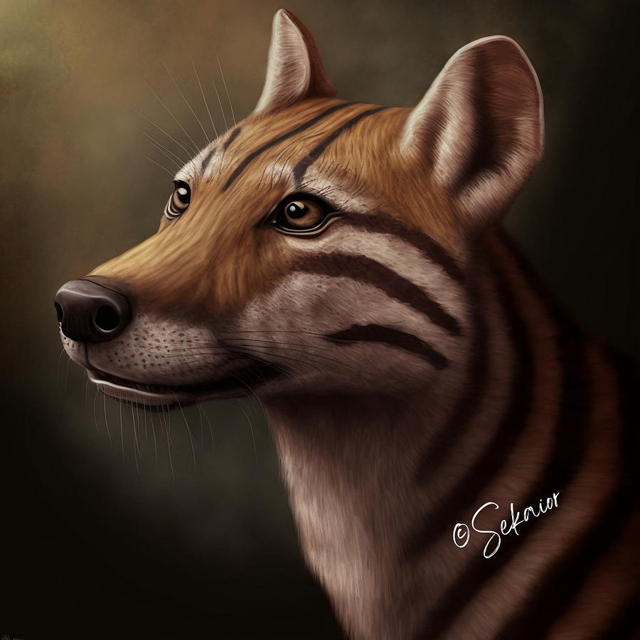 The Thylacine Digital Art By Sekaior Lens Pixels