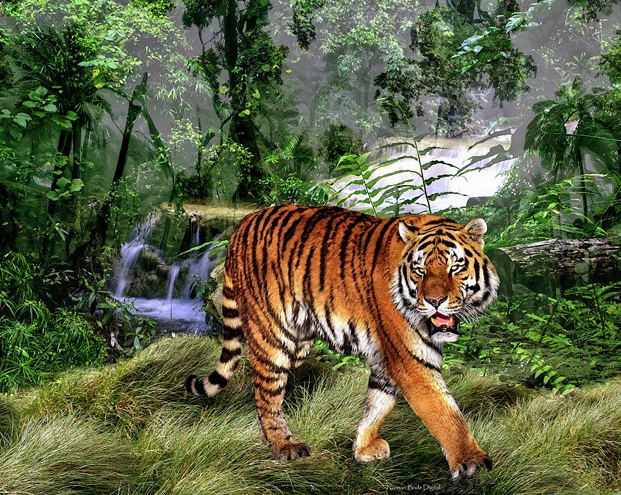 The Tiger Digital Art by Norman Brule