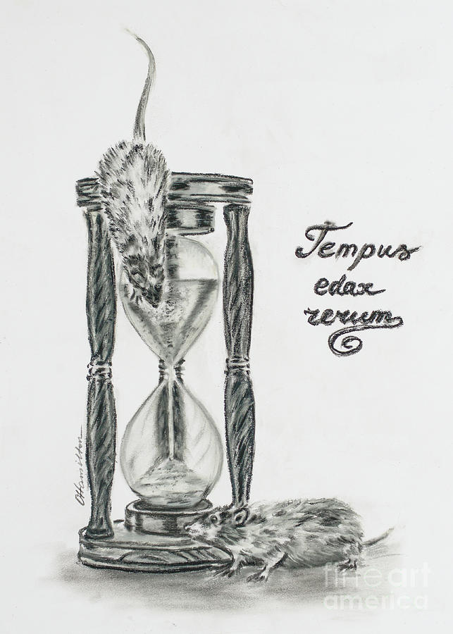 The Time Keepers Tempus Edax Rerum Drawing by Olga Hamilton