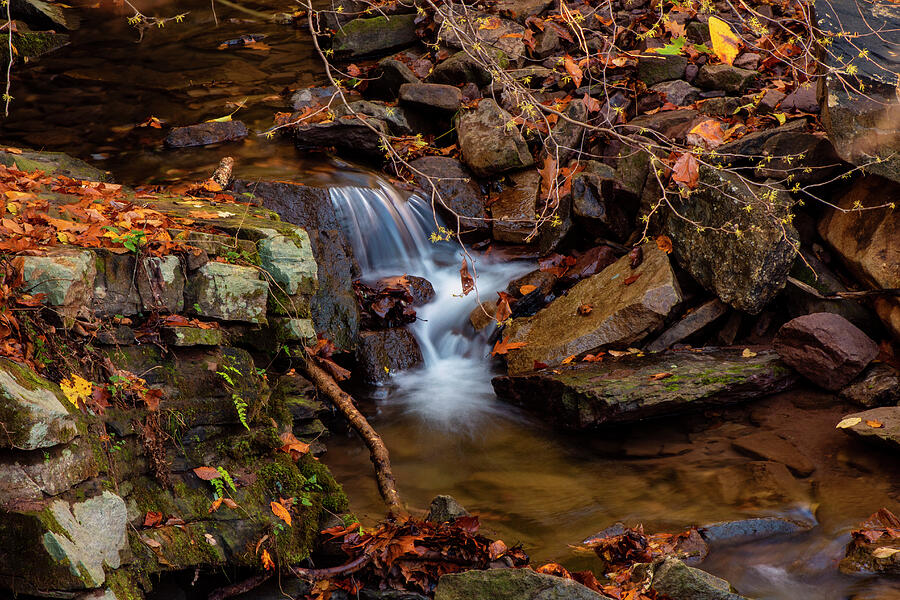 The Tiniest Waterfall Photograph by Denise Harty - Fine Art America