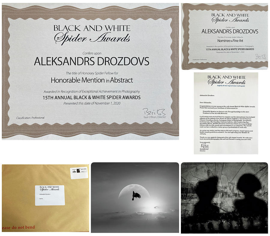 The Title Of Honorary Spider Fellow Of Black And White Spider Awards 2020 Photograph by Aleksandrs Drozdovs