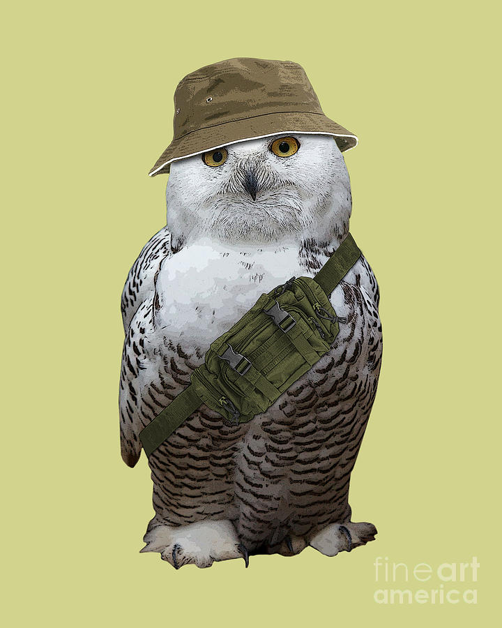 Owl Digital Art - The Tourist by Madame Memento