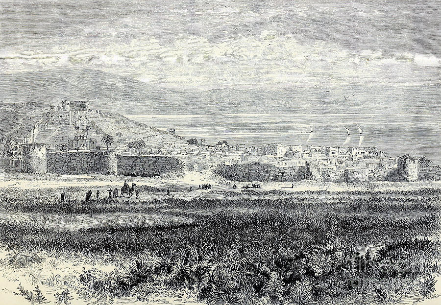 The Town Of Tiberias H Drawing