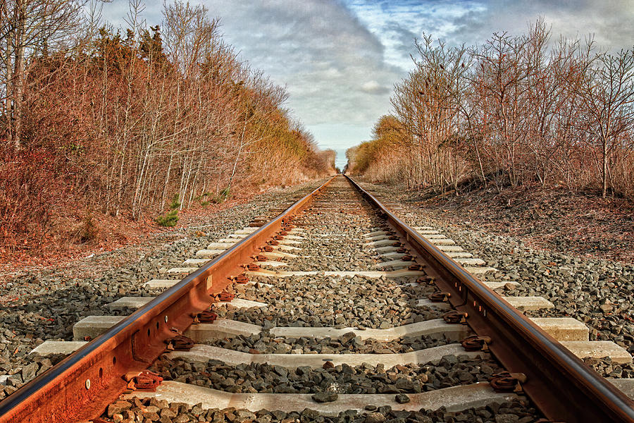 The tracks - 3630-1126-1127-1 Photograph by Deidre Elzer-Lento